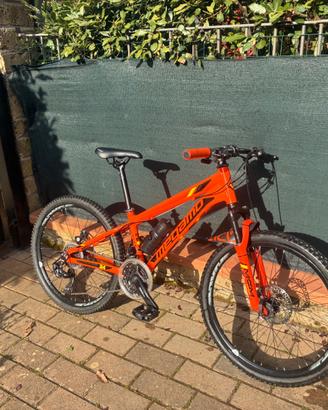 Bici mtb bimbo 24 pollici