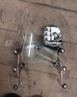 Parabrezza Triumph