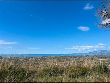 Terrenii in collina alta per istallazione antenne
