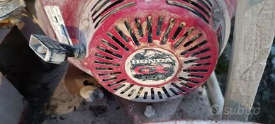 taglia cemento giardini 