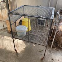 Gabbia per conigli