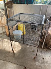 Gabbia per conigli