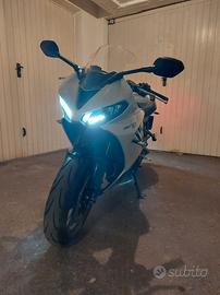 Triumph Daytona 660 - 2024