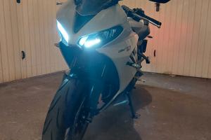 Triumph Daytona 660 - 2024