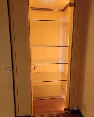 Porta Cristallo Temperato SecurVetro 10mm 220x77cm