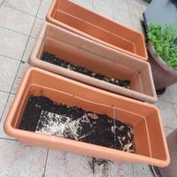 vasconi per piante