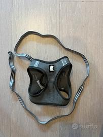 Pettorina con collare gatto o cane taglia piccola