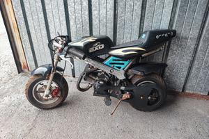 Minimoto 