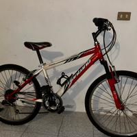 MTB montana 24”