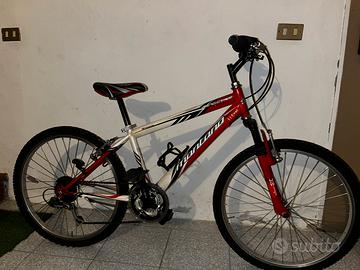 MTB montana 24”