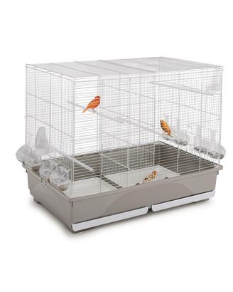 GABBIA CANARINI COCORITE ESOTICI TASHA