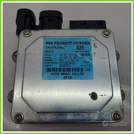 Centralina Sterzo KOYO 6900000555/A CITROEN C2 1.4