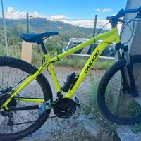 mountain bike