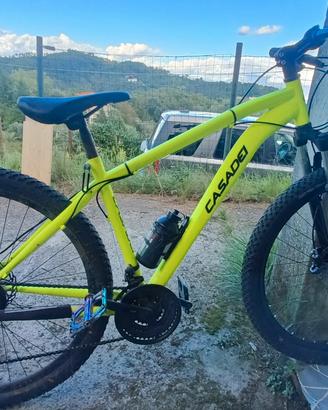 mountain bike