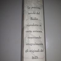 4 stampe riproduzione Erbario Hortus Eystettensis