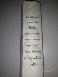 4 stampe riproduzione Erbario Hortus Eystettensis