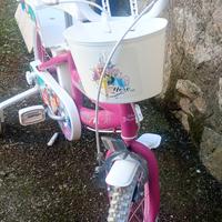 bicicletta principesse 16 pollici 