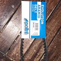 Minarelli Polini Evolution Malossi mhr team 