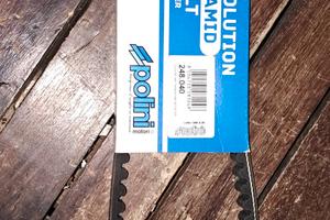 Minarelli Polini Evolution Malossi mhr team 