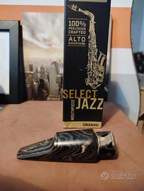 Bocchino Daddario Select Jazz sax  Alto 
