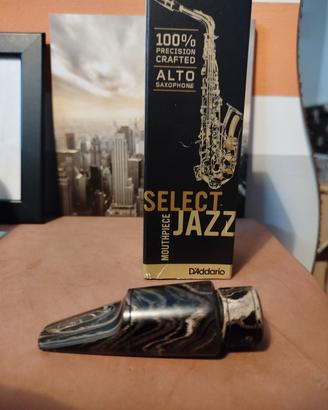 Bocchino Daddario Select Jazz sax  Alto 