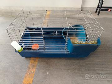 gabbia per coniglio 
