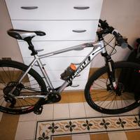 Bicicletta ruote da 29" 