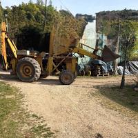 Paletta terna ruspa con retroescavatore Mf massey 