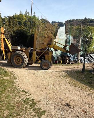 Paletta terna ruspa con retroescavatore Mf massey 