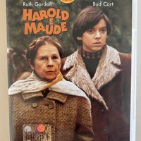Harold e Maude - dvd - cult movie raro