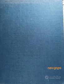 NAVI GRIGIE MARINA MILITARE ITALIANA
