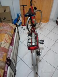bicicletta da passeggio