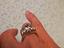 Immagine 5