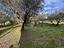 Immagine 17