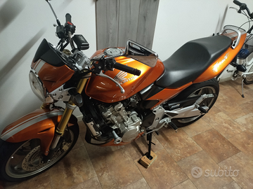 Honda hornet perfetta in tutto