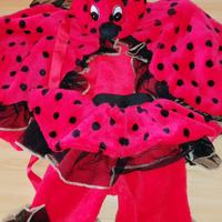 Costume carnevale coccinella