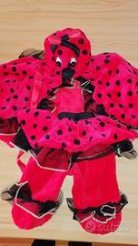 Costume carnevale coccinella