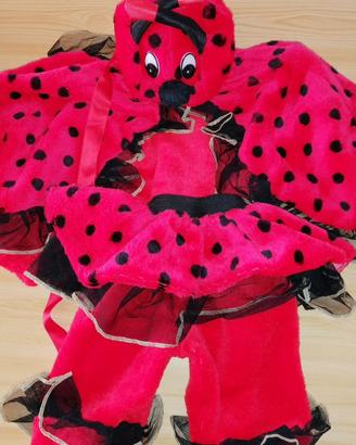 Costume carnevale coccinella