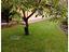 Immagine 23