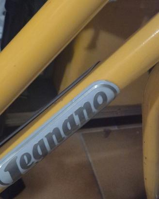 Bici Legnano donna stile olandese