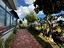 Immagine 23
