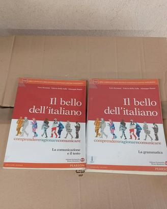 Il bello dell'italiano 9788842417767