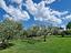 Immagine 20