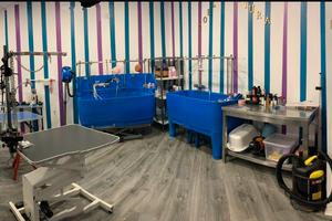 Attività di Toelettatura e Pet Shop