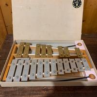 Strumeto a percussioni
