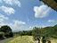 Immagine 17