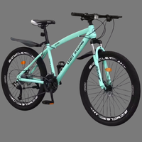 Mountain Bike – Molto ben tenuta (Roma)