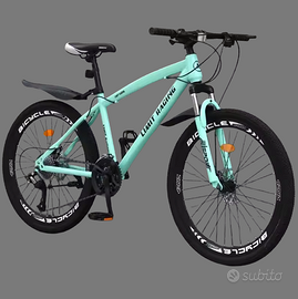 Mountain Bike – Molto ben tenuta (Roma)