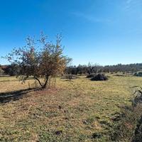 Terreno Agricolo Vasanello [Cod. rif 3279497VCG]