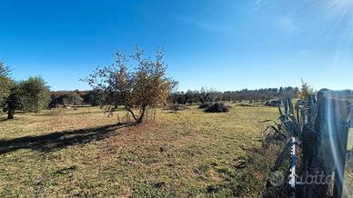 Terreno Agricolo Vasanello [Cod. rif 3279497VCG]